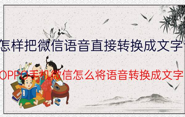 怎样把微信语音直接转换成文字音 OPPO手机微信怎么将语音转换成文字？